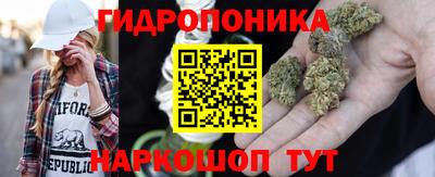 ECSTASY Гатчина
