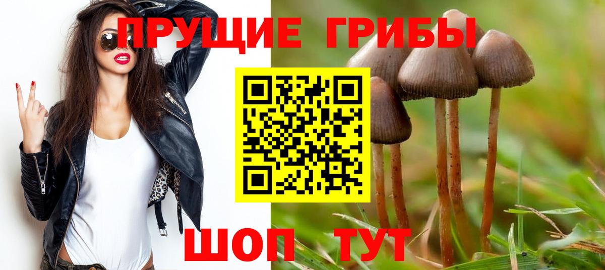 Псилоцибиновые грибы Cubensis Мурманск